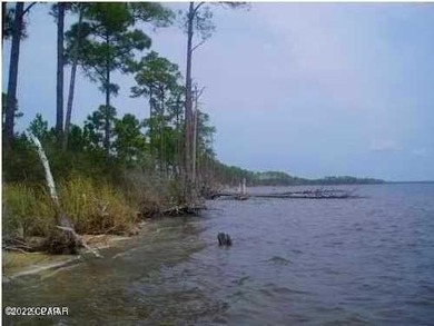 Zoning is 2 units per acre. This serene piece of pristine - photo 28