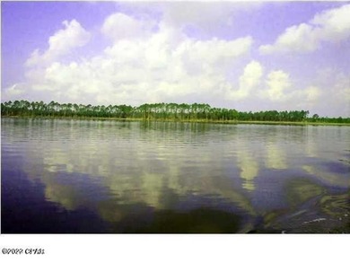 Zoning is 2 units per acre. This serene piece of pristine - photo 29