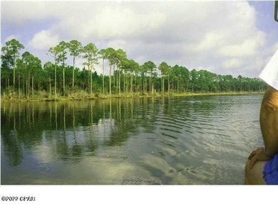 Zoning is 2 units per acre. This serene piece of pristine - photo 30