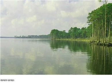 Zoning is 2 units per acre. This serene piece of pristine - photo 31