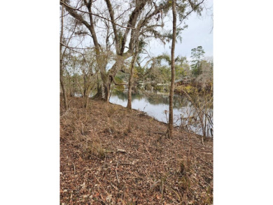 Lake Lot For Sale in Branford, Florida