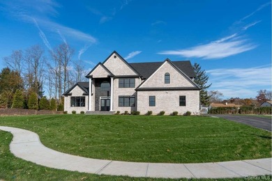 Builder's new construction Concord model offering approximately - photo 31