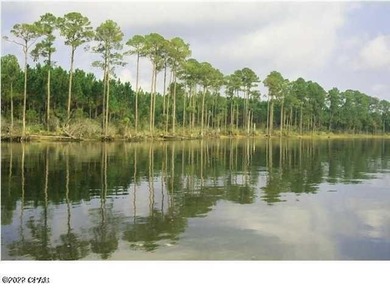 Zoning is 2 units per acre. This serene piece of pristine - photo 32