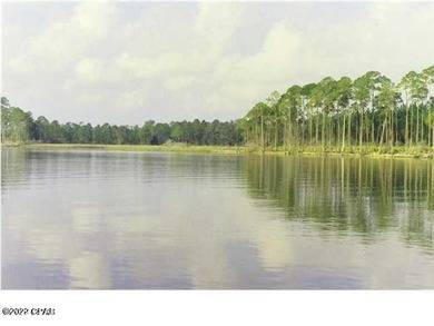 Zoning is 2 units per acre. This serene piece of pristine - photo 33