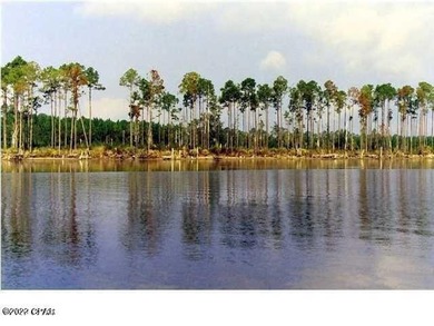 Zoning is 2 units per acre. This serene piece of pristine - photo 34