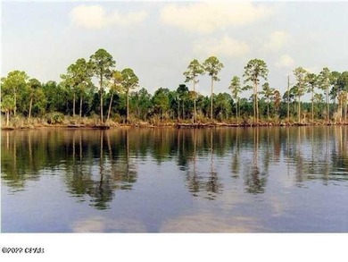 Zoning is 2 units per acre. This serene piece of pristine - photo 35