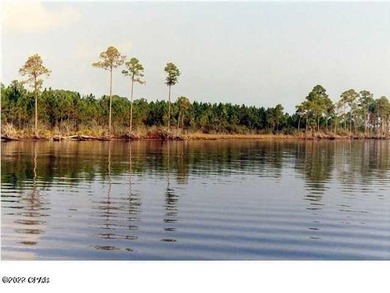 Zoning is 2 units per acre. This serene piece of pristine - photo 36