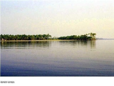 Zoning is 2 units per acre. This serene piece of pristine - photo 37