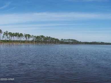 Zoning is 2 units per acre. This serene piece of pristine - photo 38