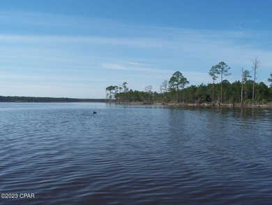 Zoning is 2 units per acre. This serene piece of pristine - photo 39