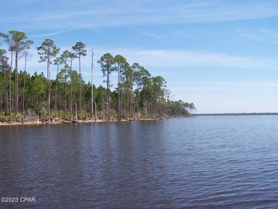 Zoning is 2 units per acre. This serene piece of pristine - photo 40