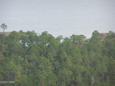 Zoning is 2 units per acre. This serene piece of pristine - photo 41
