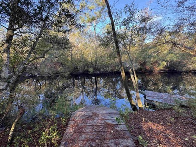 (private lake, pond, creek) Lot For Sale in Sopchoppy Florida