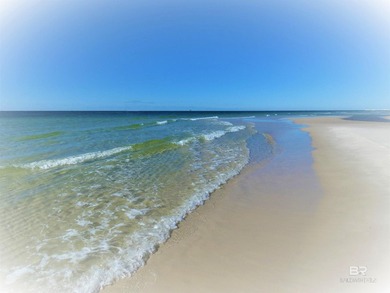 INCREDIBLE GULF VEW!! 'FUR BABIES* WELCOME!! Up to 2 dogs - photo 33