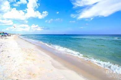 INCREDIBLE GULF VEW!! 'FUR BABIES* WELCOME!! Up to 2 dogs - photo 34