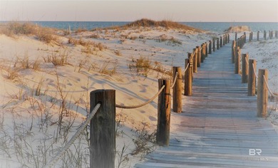 INCREDIBLE GULF VEW!! 'FUR BABIES* WELCOME!! Up to 2 dogs - photo 36