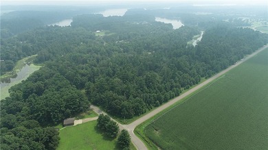 (private lake, pond, creek) Acreage For Sale in Chetek Wisconsin