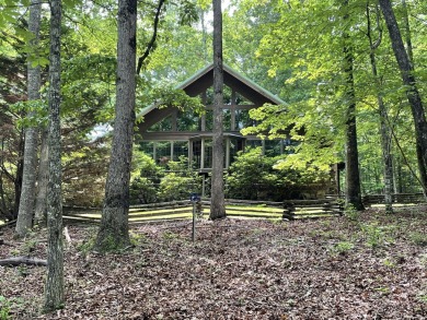 Lake Home For Sale in Dunlap, Tennessee
