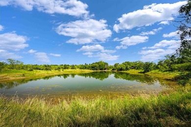 (private lake, pond, creek) Acreage For Sale in Mount Calm Texas