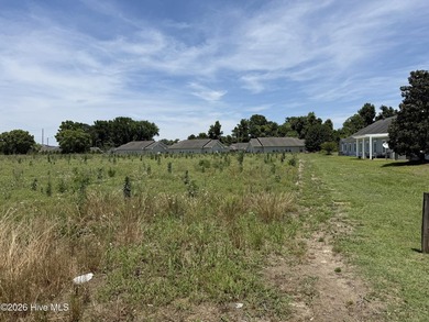 Prime 2.9-acre commercial corner lot on US Hwy 264 W in - photo 22