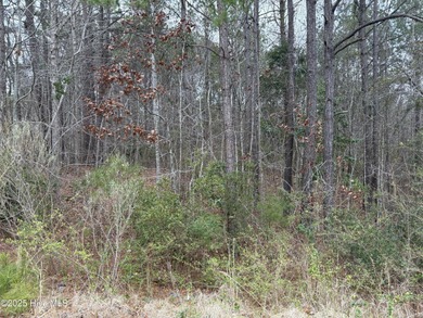 Residential building lot in the Green Trees subdivision. Green - photo 4