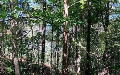 Absolutely beautiful building lot available located in The - photo 1