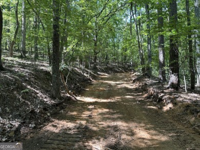 Lake Acreage For Sale in Rockmart, Georgia