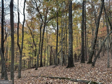 183.917 Acres on Vinson Mountain - A Rare, Legacy Property For - photo 3