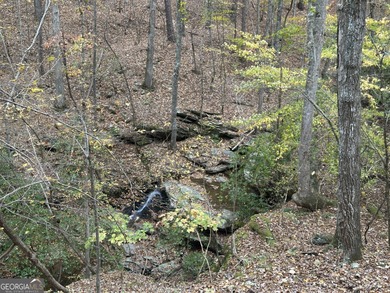 183.917 Acres on Vinson Mountain - A Rare, Legacy Property For - photo 4