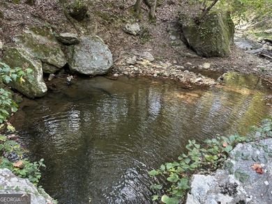 183.917 Acres on Vinson Mountain - A Rare, Legacy Property For - photo 6