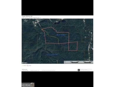 183.917 Acres on Vinson Mountain - A Rare, Legacy Property For - photo 7