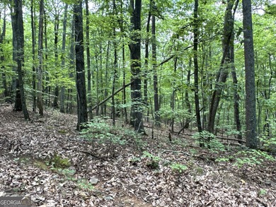 183.917 Acres on Vinson Mountain - A Rare, Legacy Property For - photo 8