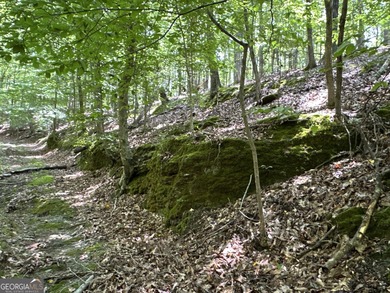 183.917 Acres on Vinson Mountain - A Rare, Legacy Property For - photo 9