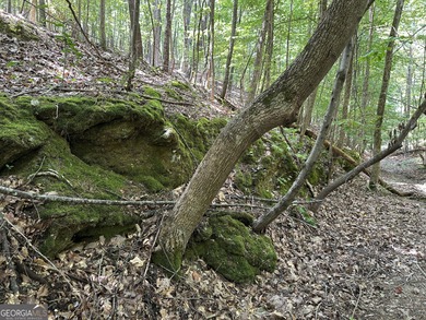 183.917 Acres on Vinson Mountain - A Rare, Legacy Property For - photo 10