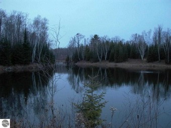 (private lake, pond, creek) Acreage For Sale in Lupton Michigan