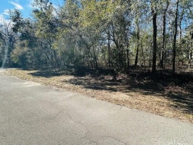 Lake Lot For Sale in Trenton, Florida