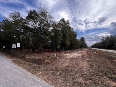Lake Talquin Lot For Sale in Lake Talquin Florida