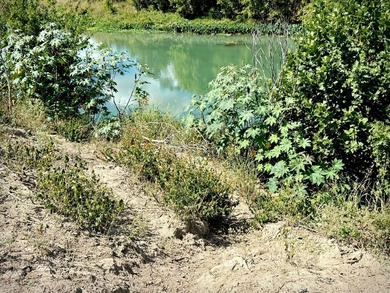 HALF-MILE RIVER FRONTAGE. Discover one of the most exceptional - photo 6