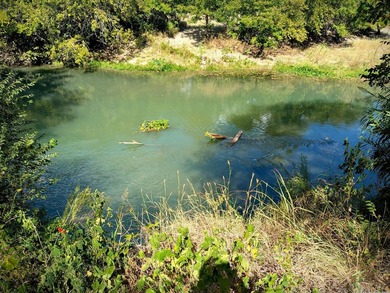 HALF-MILE RIVER FRONTAGE. Discover one of the most exceptional - photo 7