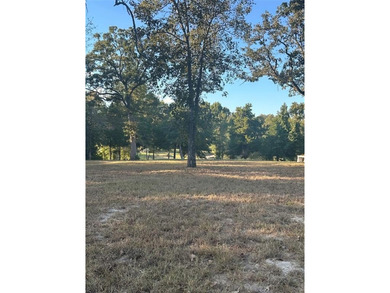 Lake Lot For Sale in Athens, Texas