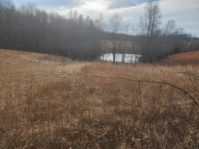 Lake Lot For Sale in Beaver Dam, Kentucky