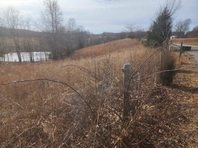 Great Building Site in Ohio County mostly cleared with Pond - photo 2