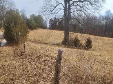 Great Building Site in Ohio County mostly cleared with Pond - photo 3