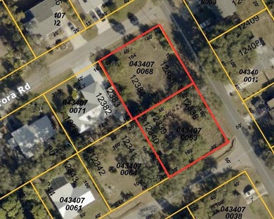 Rare opportunity to own 2 side by side conner residential lots - photo 1