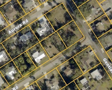 Rare opportunity to own 2 side by side conner residential lots - photo 2