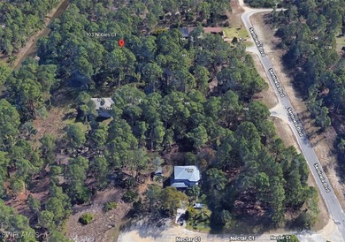Lehigh Acres Area Lot For Sale in Lehigh Acres Florida