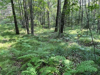 (private lake, pond, creek) Lot For Sale in Hayward Wisconsin