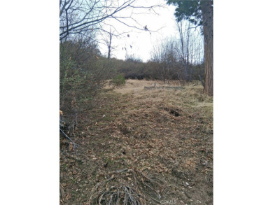 Lake Lot For Sale in Cedar Glen, California