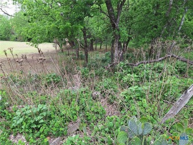 Waterfront - Dry Comal Creek - almost 2 acre lot close to - photo 12
