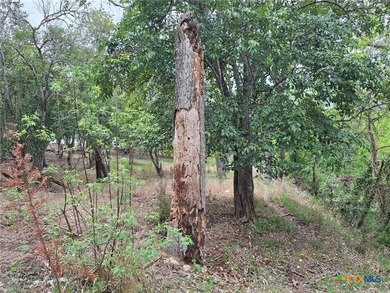 Waterfront - Dry Comal Creek - almost 2 acre lot close to - photo 13